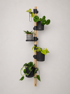 The Stem 1.0