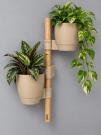 The Stem Mini