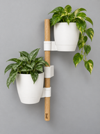 The Stem Mini